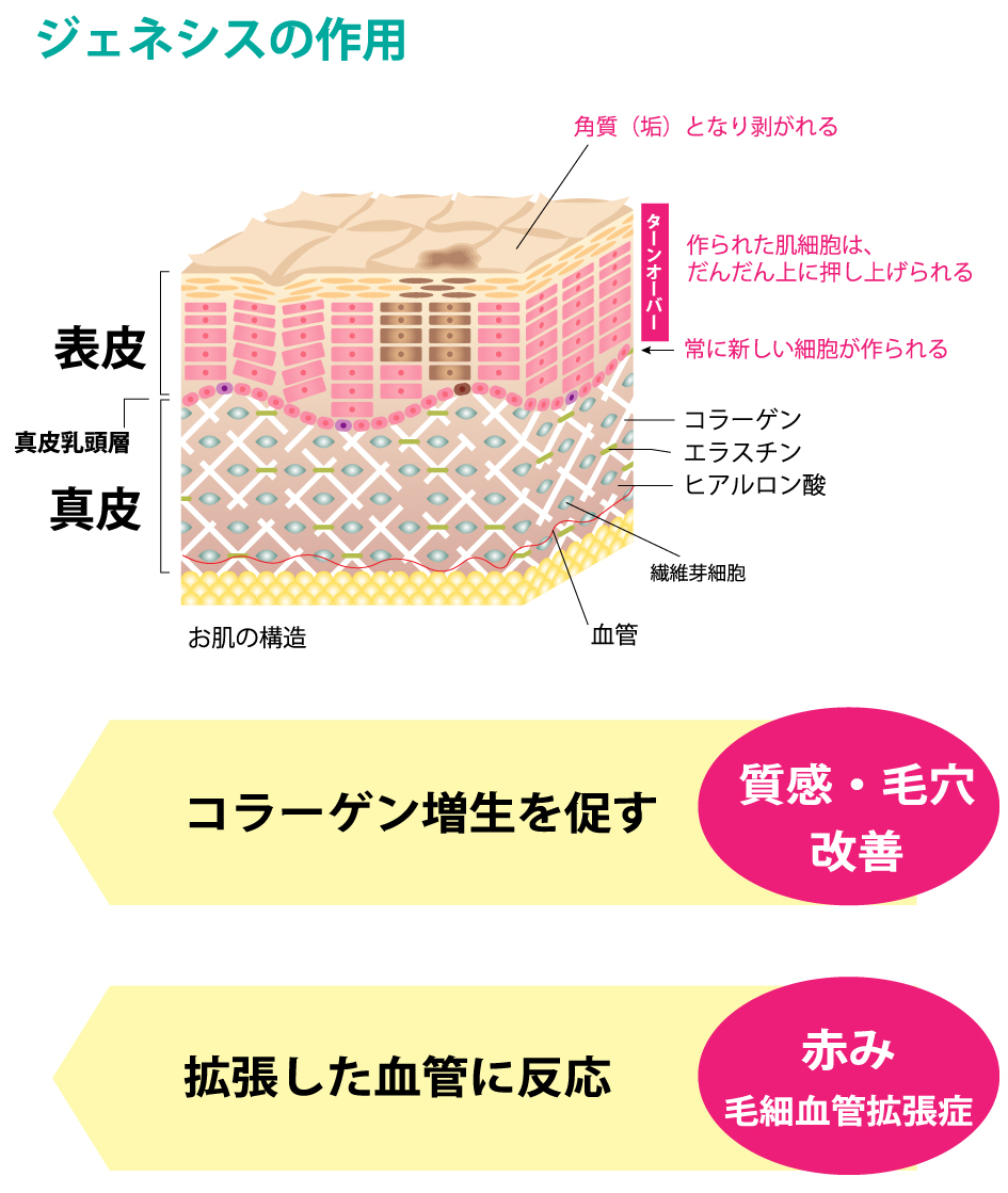 ジェネシスとは